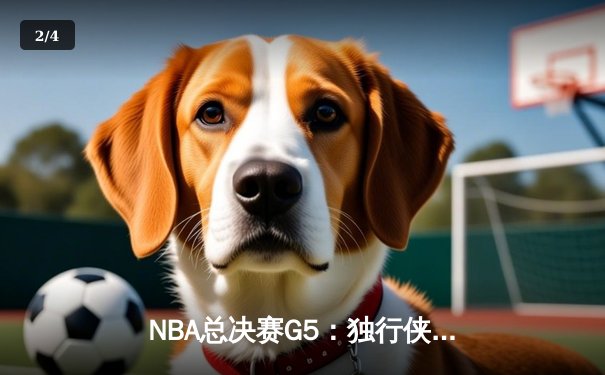 NBA总决赛G5：独行侠绝地反击扳回一城，东契奇三双力挽狂澜 - 2