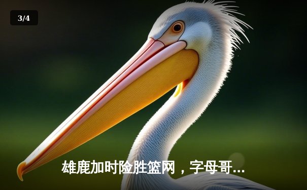 雄鹿加时险胜篮网，字母哥44分主宰天王山之战 - 3